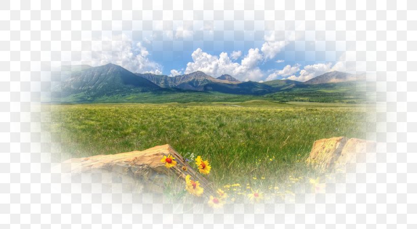 Water Resources Mountain Ecosystem Hill Station Advertising, PNG, 800x450px, Water Resources, Advertising, Ecosystem, Grass, Hill Station Download Free