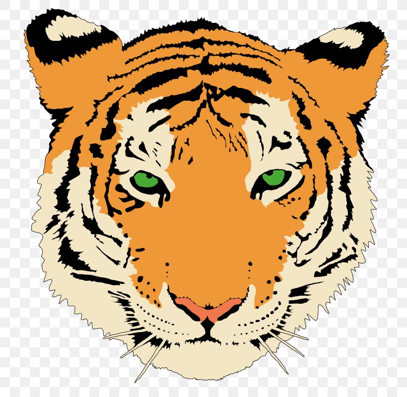 Bengal Tiger Bengal Cat Felidae Big Cat Clip Art, PNG, 800x800px, Bengal Tiger, Artwork, Bengal, Bengal Cat, Big Cat Download Free