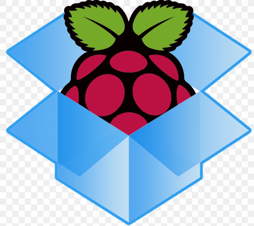 Raspberry Pi Foundation System On A Chip Logo Linux On Embedded Systems, PNG, 1000x890px, Raspberry Pi, Area, Artwork, Booting, Commodore 64 Download Free