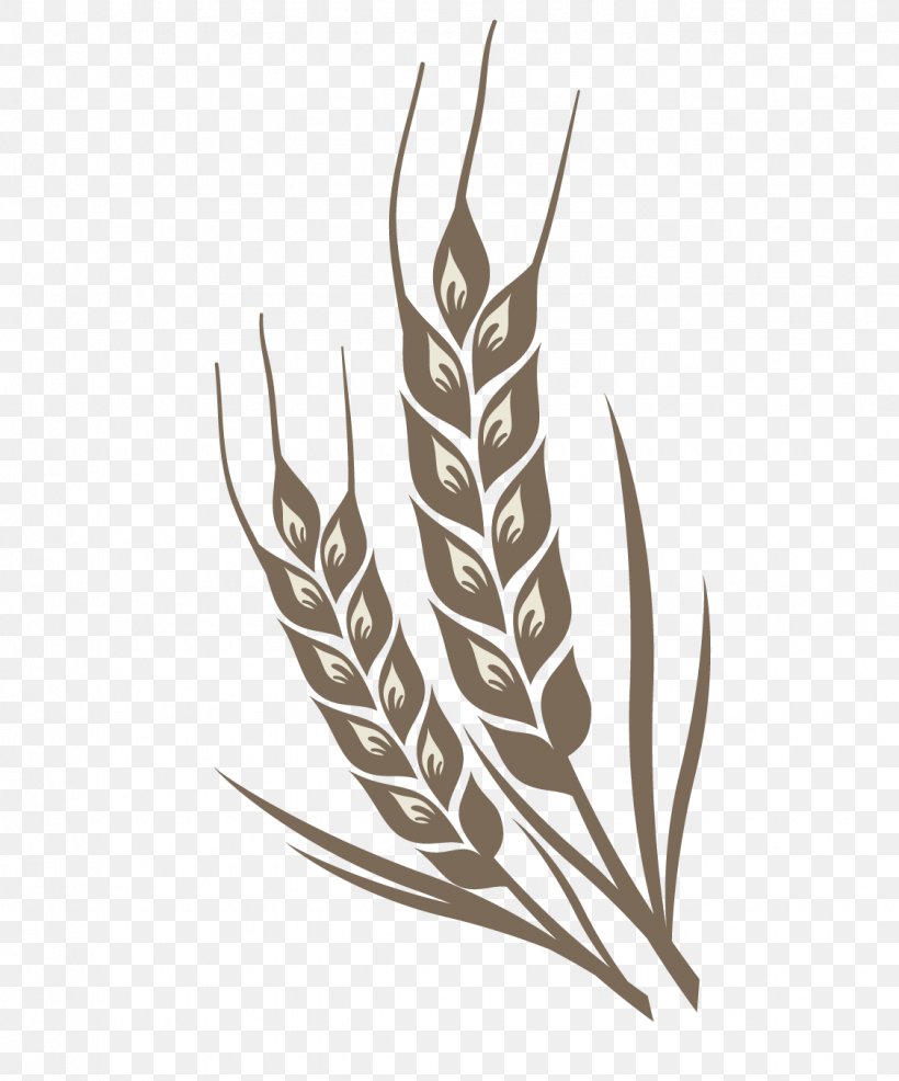 Rice Crop, PNG, 1125x1353px, Rice, Art, Cartoon, Cereal, Commodity Download Free