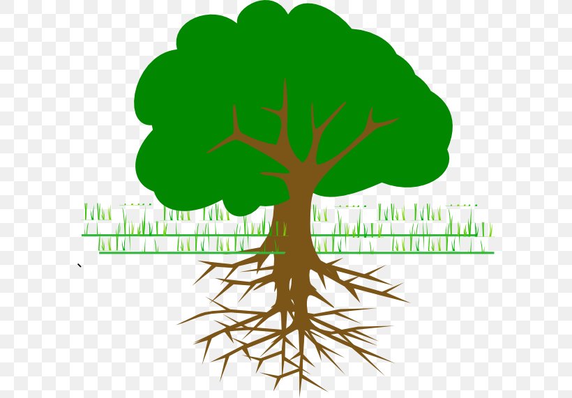 Tree Le Premier Jour Du Reste De Ma Vie Branch Clip Art, PNG, 600x571px, Tree, Blog, Branch, Drawing, Ecology Download Free