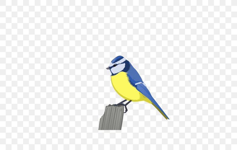 Bird Eurasian Blue Tit Eurasian Bullfinch Clip Art, PNG, 600x520px, Bird, Beak, Bird Nest, Bluebird, Bullfinch Download Free