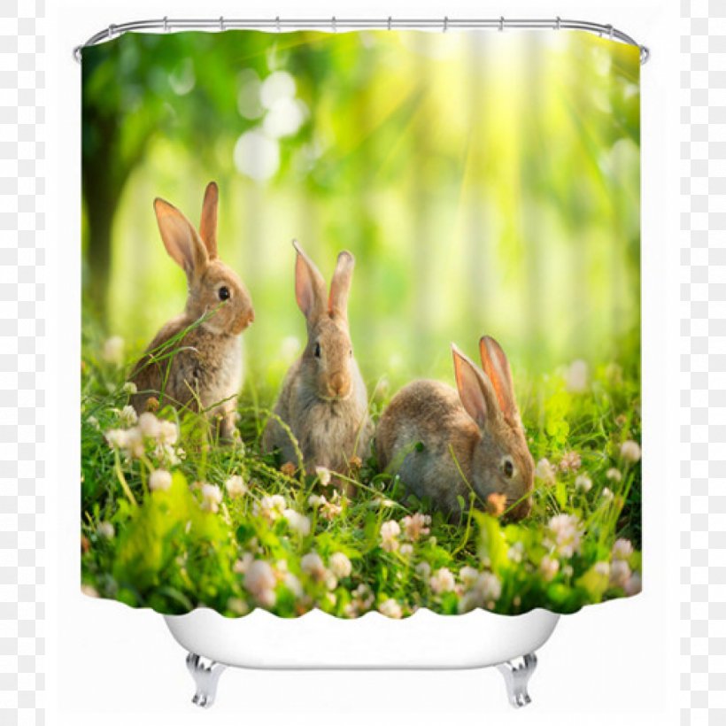 Domestic Rabbit Douchegordijn Hare Polyester, PNG, 1000x1000px, 3d Printing, Domestic Rabbit, Bathroom, Com, Curtain Download Free