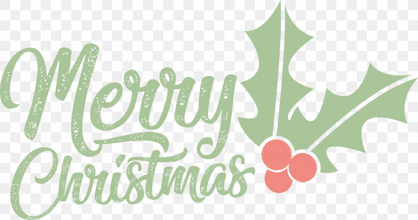 Leaf Logo Font Tree Green, PNG, 3000x1582px, Merry Christmas, Biology, Fruit, Green, Leaf Download Free