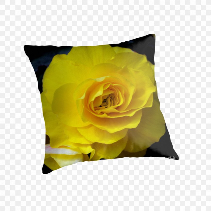 Throw Pillows Cushion Rose Family, PNG, 875x875px, Throw Pillows, Cushion, Flower, Petal, Pillow Download Free
