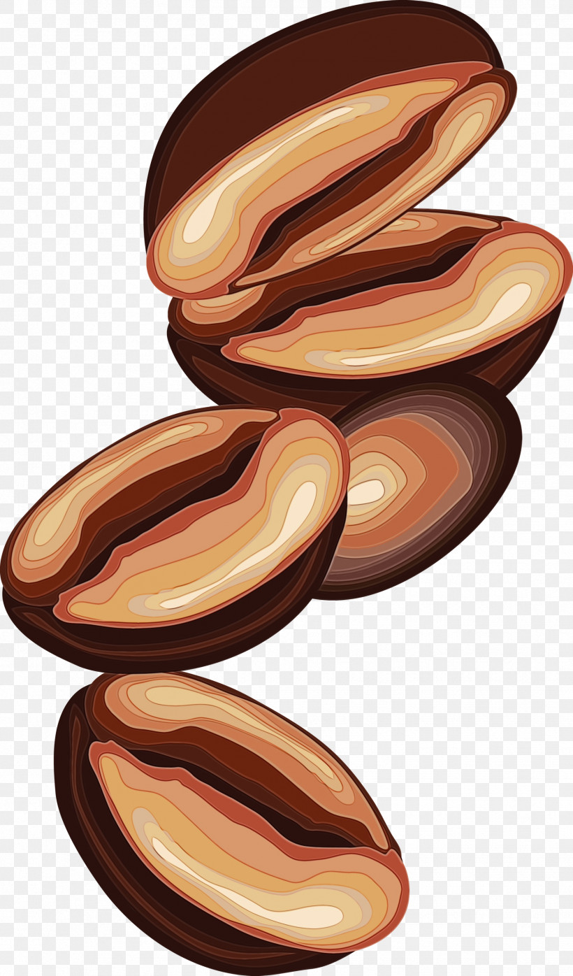 Wood Food Plant Nut, PNG, 1761x3000px, Coffee, Food, Nut, Paint, Plant Download Free