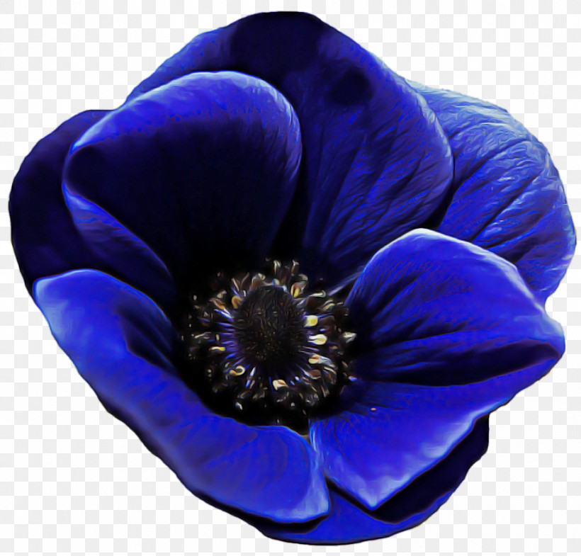 Flower Anemone Electric Blue M Petal Cobalt Blue / M, PNG, 914x875px, Flower, Anemone, Biology, Electric Blue M, Petal Download Free