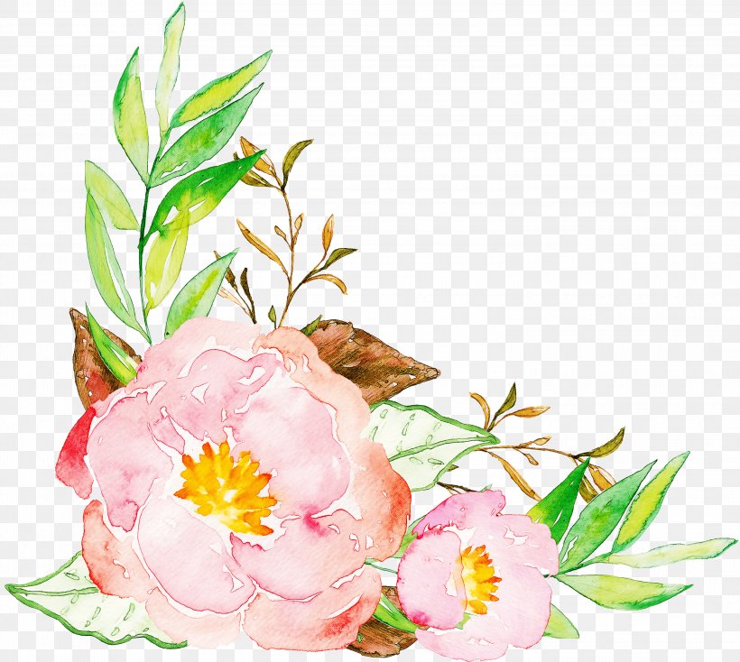 Flower Plant Pink Clip Art Chinese Peony, PNG, 3000x2688px, Flower, Chinese Peony, Common Peony, Cut Flowers, Flowering Plant Download Free