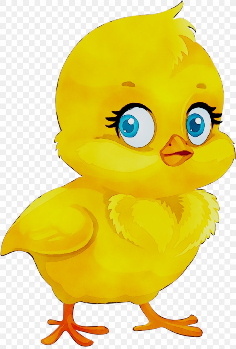 Illustration Clip Art Yellow Beak Chicken As Food, PNG, 1034x1532px, Yellow,  Animated Cartoon, Animation, Beak, Bird