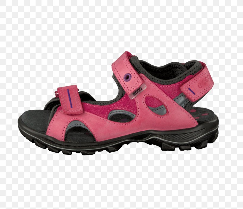 Sandal Shoe Cross-training Walking Sneakers, PNG, 705x705px, Sandal, Cross Training Shoe, Crosstraining, Footwear, Magenta Download Free