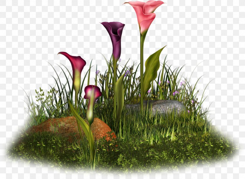 Floral Design Flowerpot Love, PNG, 1200x877px, Floral Design, Flora, Floristry, Flower, Flower Arranging Download Free