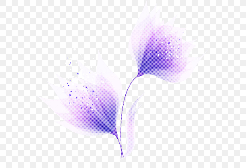 Lavender, PNG, 573x561px, Petal, Closeup, Computer, Flower, Lavender Download Free