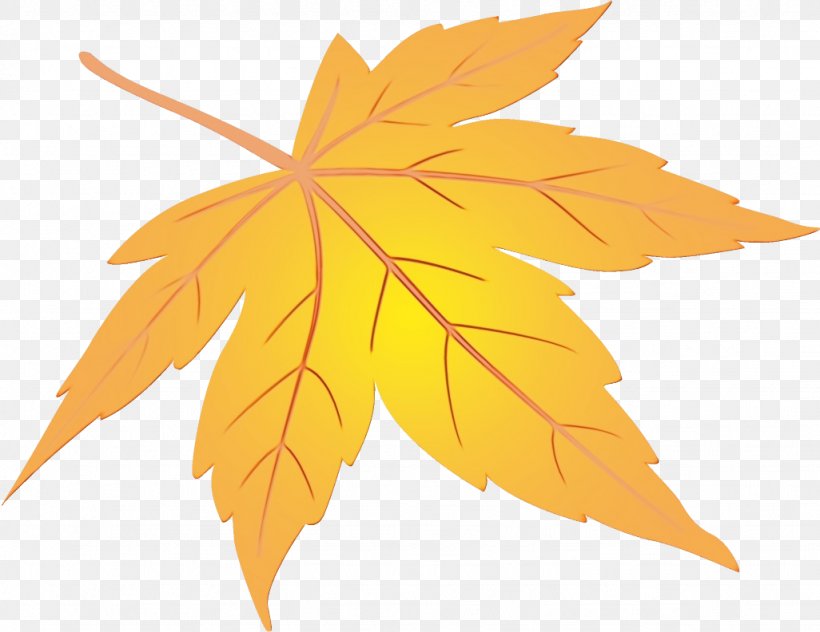 Maple Leaf, PNG, 1026x792px, Watercolor, Black Maple, Leaf, Maple Leaf, Orange Download Free