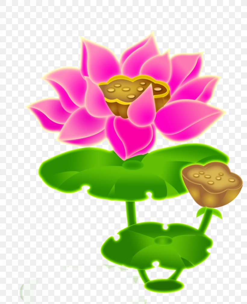 Nelumbo Nucifera Budaya Tionghoa Lotus Root Lotus Effect, PNG, 1322x1625px, Nelumbo Nucifera, Aquatic Plant, Art, Budaya Tionghoa, Chinese Painting Download Free