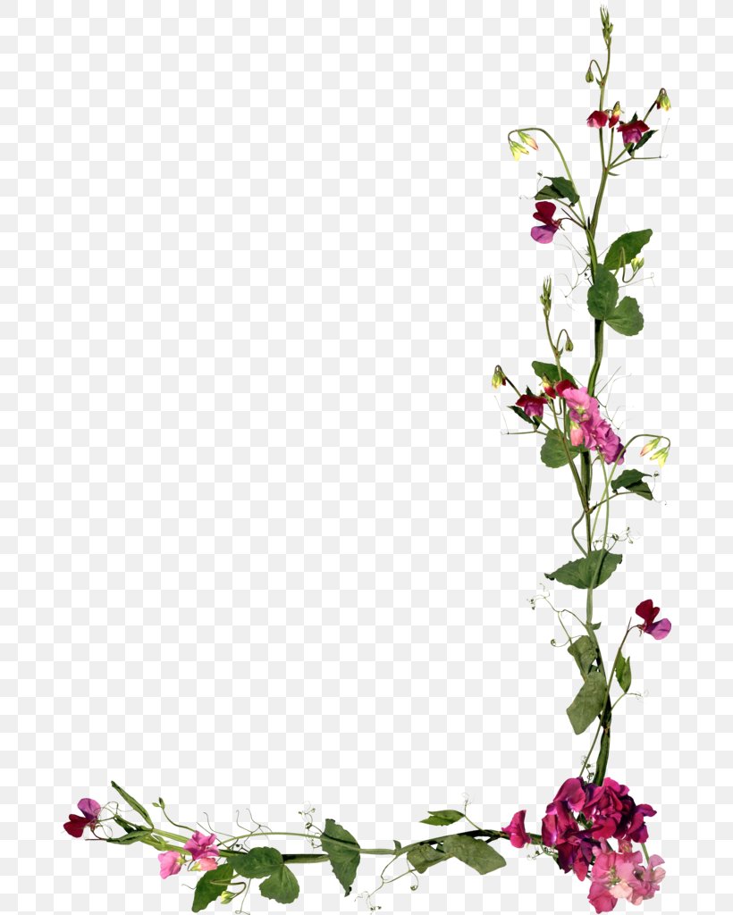Picture Frames Wallpaper, PNG, 683x1024px, Picture Frames, Art, Blossom, Branch, Cut Flowers Download Free
