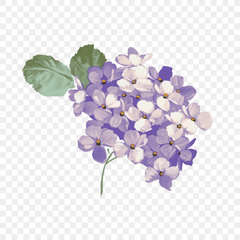 Clip Art Oakleaf Hydrangea French Hydrangea Image, PNG, 2289x2289px, Oakleaf Hydrangea, Climbing Hydrangea, Cornales, Cut Flowers, Flower Download Free