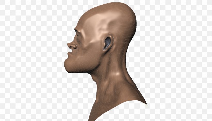 Nose Cheek Chin Forehead Jaw, PNG, 1400x800px, Nose, Cheek, Chin, Ear, Eyebrow Download Free
