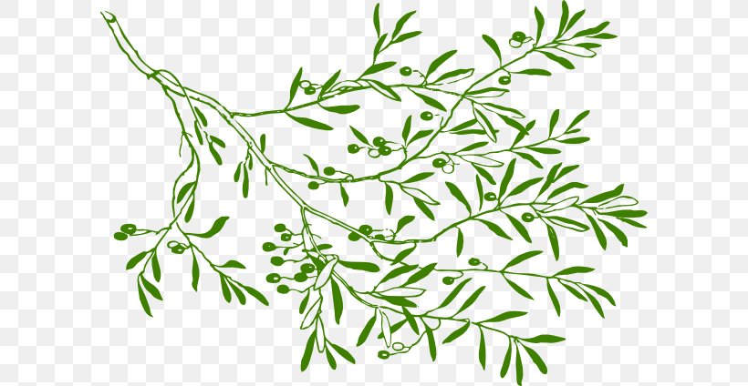 Olive Branch Clip Art, PNG, 600x424px, Olive Branch, Black, Black And White, Blog, Branch Download Free