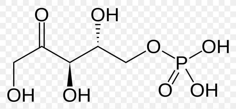 Ribulose 1,5-bisphosphate Ribulose 5-phosphate Xylulose 5-phosphate Ribose 5-phosphate, PNG, 1216x565px, Ribulose, Area, Black, Black And White, Brand Download Free