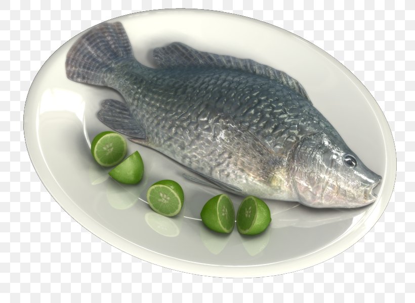 Salmon Fish Products 09777 Oily Fish Tilapia, PNG, 800x600px, Salmon, Animal Source Foods, Fish, Fish Products, Oily Fish Download Free