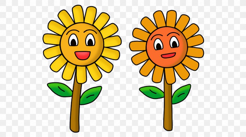 Two-dimensional Space Three-dimensional Space Common Sunflower Drawing, PNG, 872x486px, Twodimensional Space, Character Structure, Common Sunflower, Cut Flowers, Daisy Family Download Free