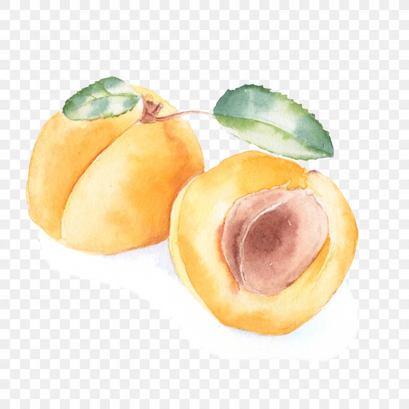 Peach Apricot Watercolor Painting, PNG, 3000x3000px, Peach, Apricot, Food, Fruit, Watercolor Painting Download Free