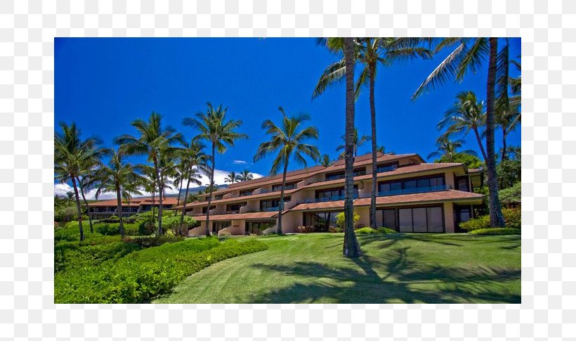 Resort Property Vacation Arecaceae Sky Plc, PNG, 705x485px, Resort, Arecaceae, Cottage, Eco Hotel, Estate Download Free