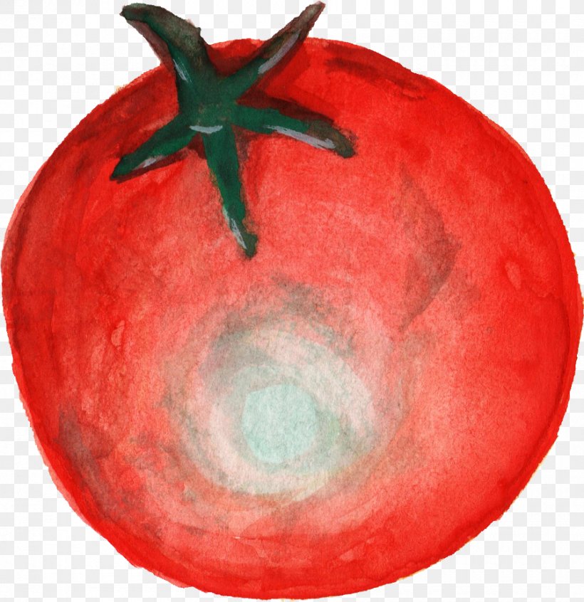 Tomato, PNG, 900x929px, Tomato, Apple, Botanical Illustration, Drawing, Food Download Free