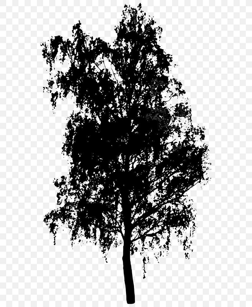 Tree Shrub Clip Art, PNG, 709x1000px, Tree, Black And White, Branch, Drawing, Leaf Download Free