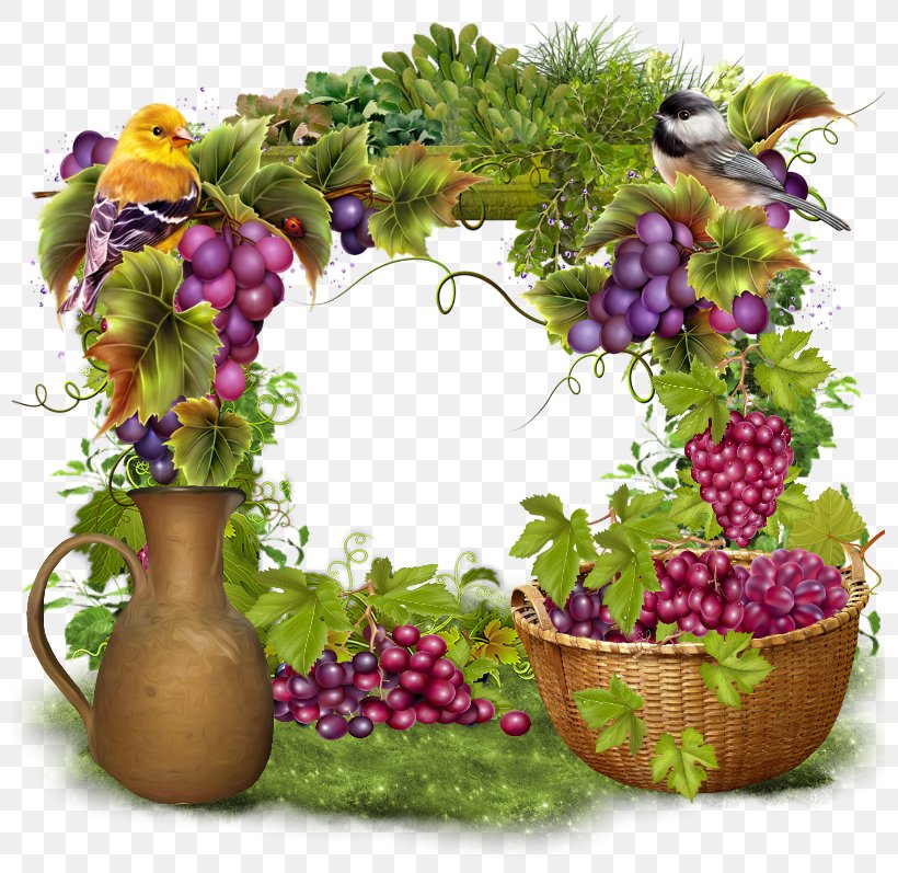 Grapevine Paper Embroidery Art, PNG, 797x797px, Grape, Art, Craft, Embroidery, Flowering Plant Download Free
