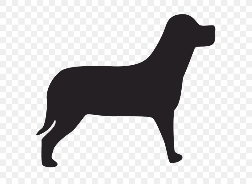 Irish Setter Cat Pet Puppy, PNG, 600x600px, Irish Setter, Biting, Black, Black And White, Carnivoran Download Free