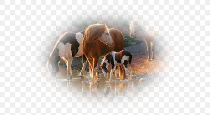 Jigsaw Puzzles Castorland Horse Game, PNG, 600x449px, Jigsaw Puzzles, Board Game, Castorland, Cattle Like Mammal, Djeco Download Free