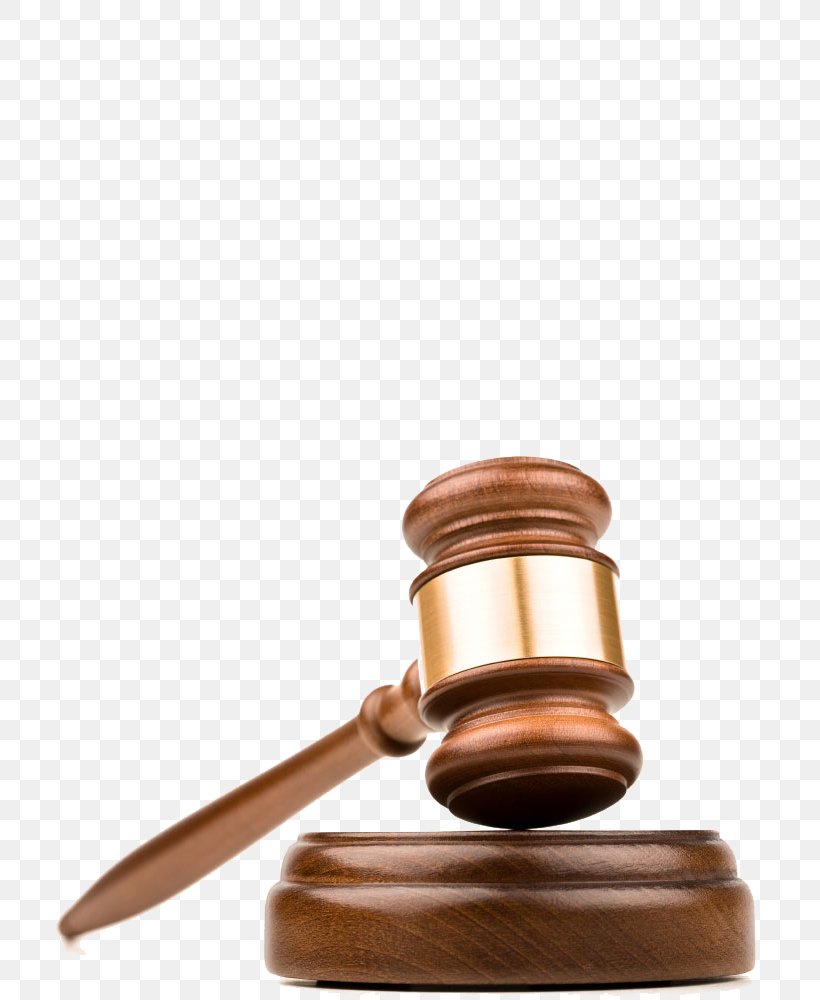 Lawsuit Court Lawyer Defendant Party, PNG, 710x1000px, Lawsuit, Civil Law, Copper, Court, Defendant Download Free