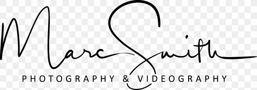 Logo Calligraphy White Handwriting, PNG, 3546x1243px, Watercolor, Cartoon, Flower, Frame, Heart Download Free