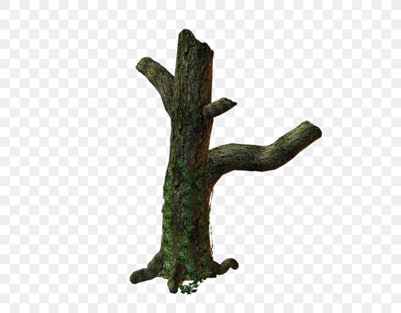 Twig Tree Root Trunk Clip Art, PNG, 536x640px, Twig, Arecaceae, Branch, Leaf, Plant Download Free