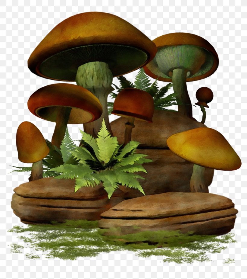 Mushroom Cartoon, PNG, 1024x1155px, Mushroom, Agaricaceae, Agaricomycetes, Agaricus, Bolete Download Free