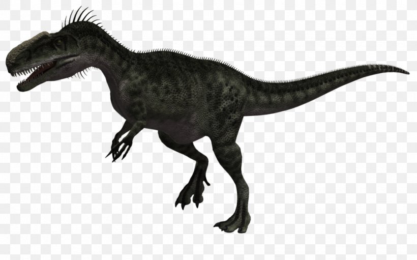 Tyrannosaurus Monolophosaurus Allosaurus Dilophosaurus Velociraptor, PNG, 1024x639px, Tyrannosaurus, Allosauridae, Allosaurus, Animal Figure, Bipedalism Download Free