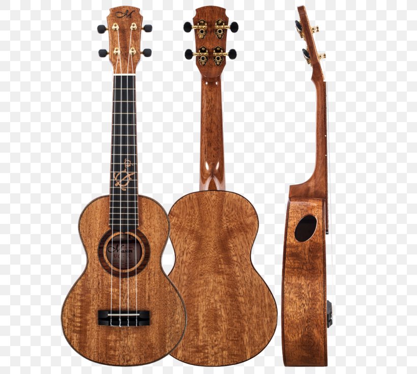 Acoustic Guitar Ukulele Tiple Cuatro Cavaquinho, PNG, 600x735px, Watercolor, Cartoon, Flower, Frame, Heart Download Free