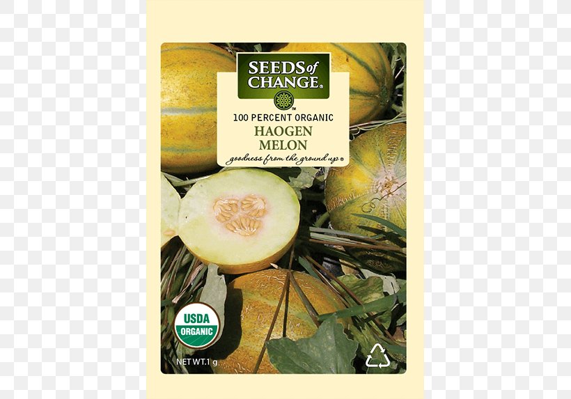 Organic Food HaOgen Natural Foods Superfood, PNG, 573x573px, Organic Food, Food, Fruit, Melon, Natural Foods Download Free