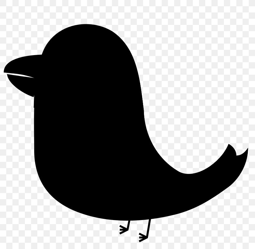 Beak Silhouette Clip Art Black Bird, PNG, 800x800px, Beak, Art, Bird, Black, Black M Download Free