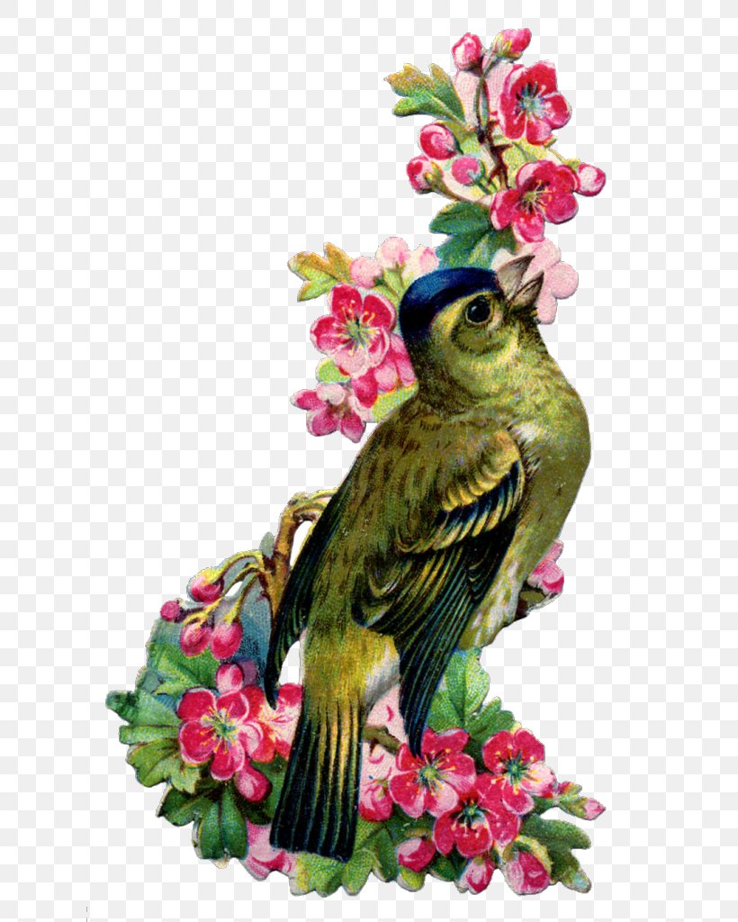 Bird Swallow Vintage Clothing Flower Feather, PNG, 628x1024px, Bird, Beak, Bird Flight, Blossom, Ephemera Download Free