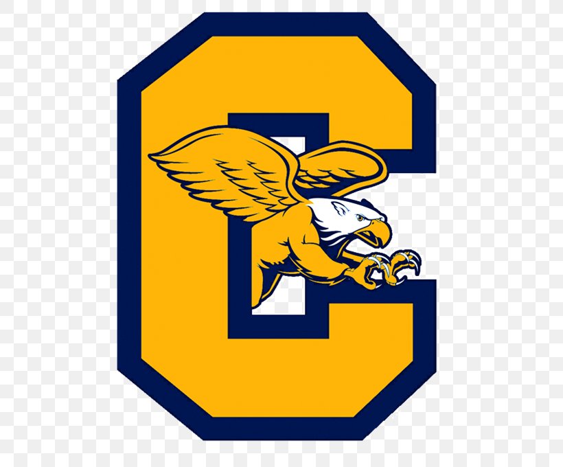 Canisius College Canisius Golden Griffins Men's Ice Hockey Canisius Golden Griffins Men's Basketball Canisius Golden Griffins Women's Basketball, PNG, 564x680px, Canisius College, Area, Art, Artwork, Canisius Golden Griffins Download Free