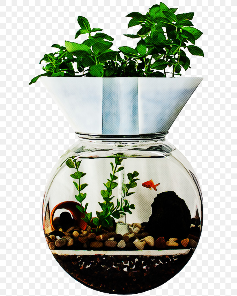 Flowerpot Plant Houseplant Tree Flower, PNG, 625x1024px, Flowerpot, Aquarium, Flower, Herb, Houseplant Download Free