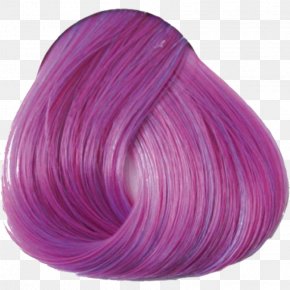 Hair Coloring Human Hair Color Violet Plum Png 500x624px Hair