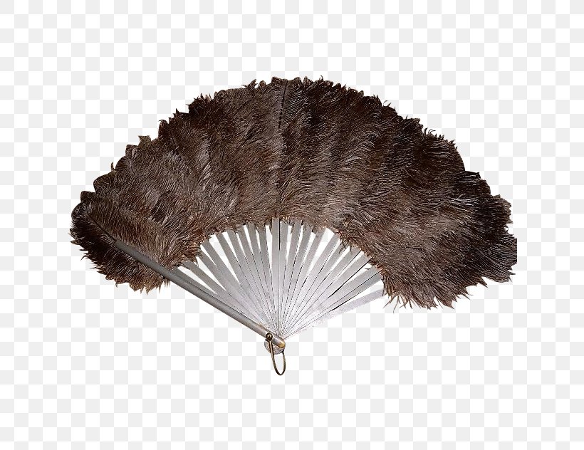 Hand Fan Feather Common Ostrich 1920s Vintage Clothing, PNG, 632x632px, Hand Fan, Antique, Celluloid, Clothing Accessories, Common Ostrich Download Free