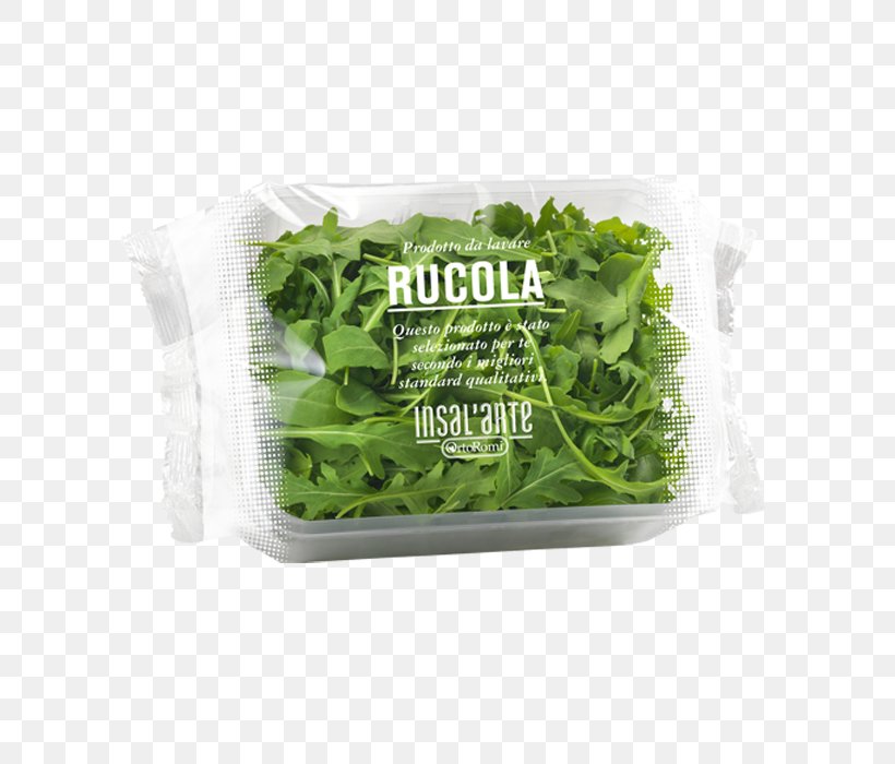 Lettuce Arugula Carpaccio Salad Vegetable, PNG, 700x700px, Lettuce, Arugula, Carpaccio, Cheese, Condiment Download Free