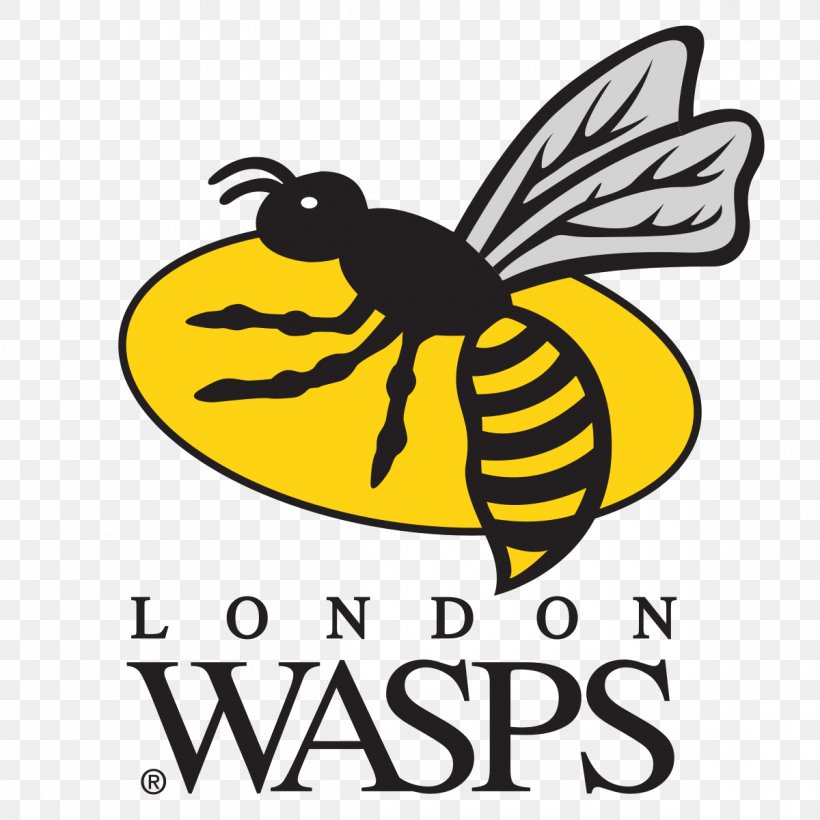 Wasps RFC Ricoh Arena London Irish Gloucester Rugby Worcester Warriors, PNG, 1200x1200px, Wasps Rfc, Area, Artwork, Bee, Black And White Download Free