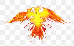 Phoenix Images Phoenix Transparent Png Free Download - phoenix ra roblox
