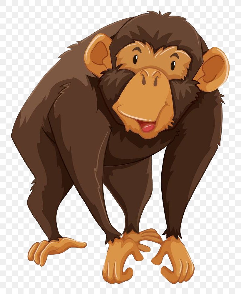 Gibbon Monkey Chimpanzee Illustration, PNG, 809x1000px, Gibbon, Ape, Bear, Carnivoran, Cartoon Download Free