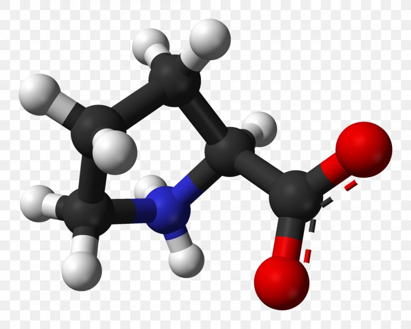 Hydroxyproline Amino Acid Zwitterion Structure, PNG, 1100x882px, Proline, Acid, Amine, Amino Acid, Amino Talde Download Free
